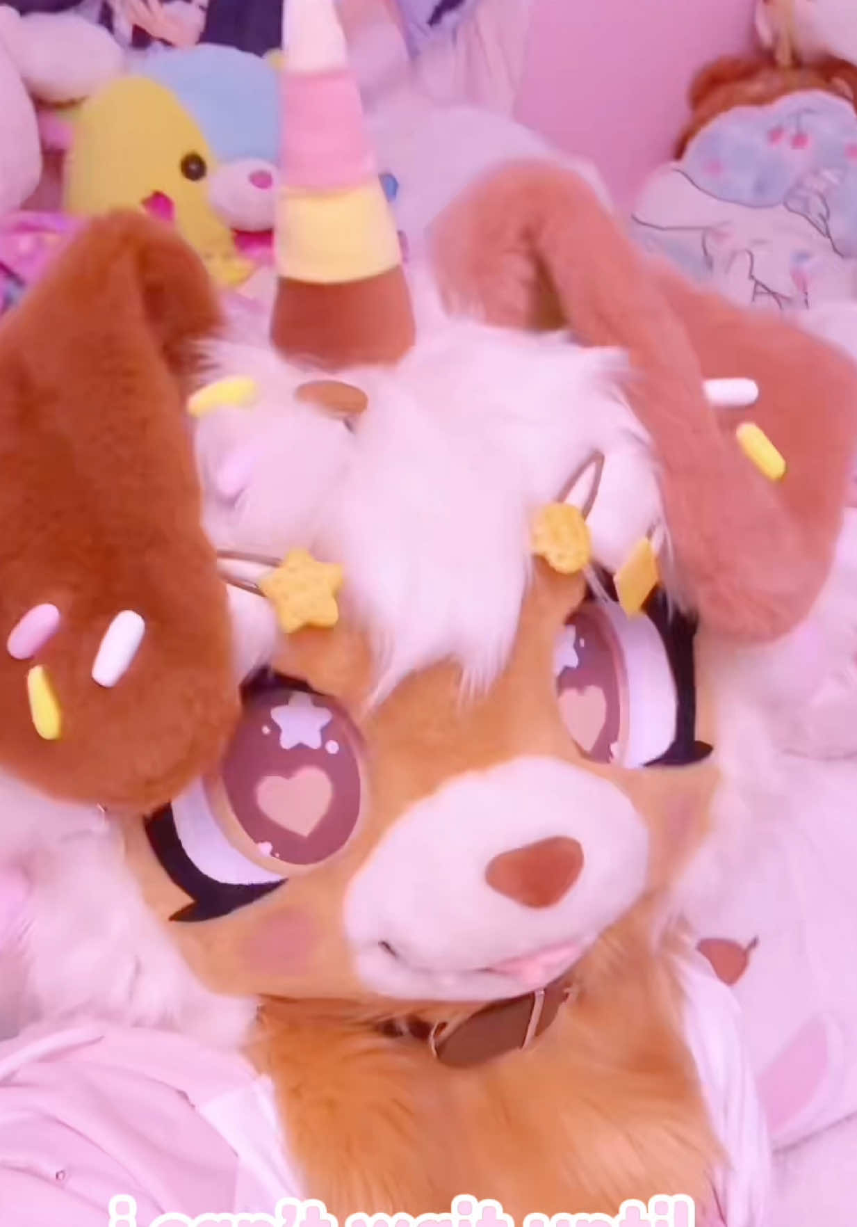 @๐ฆด๐พ๐ฎ๐ shy ๐๐ฎ๐พ๐ฆด
