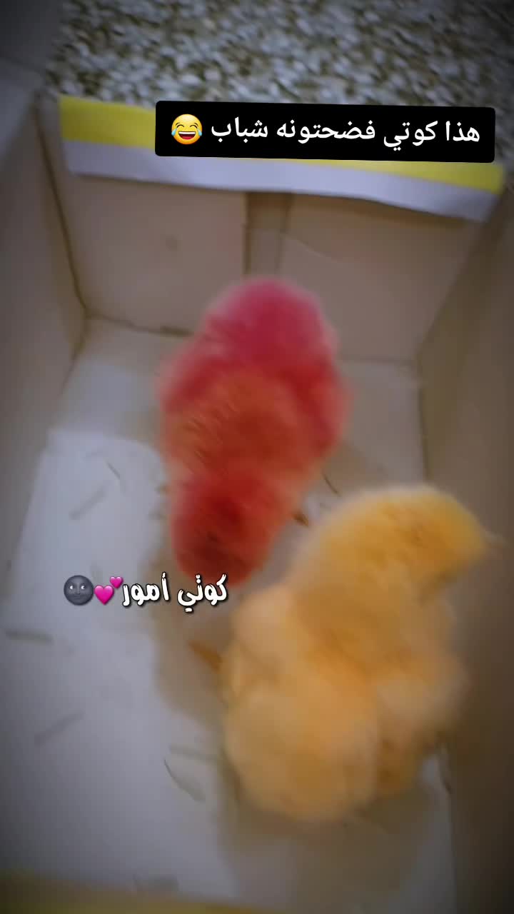 @💫𝒢𝑜𝓇𝒶💫