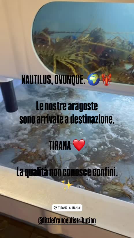 @Pescheria nautilus ostuni