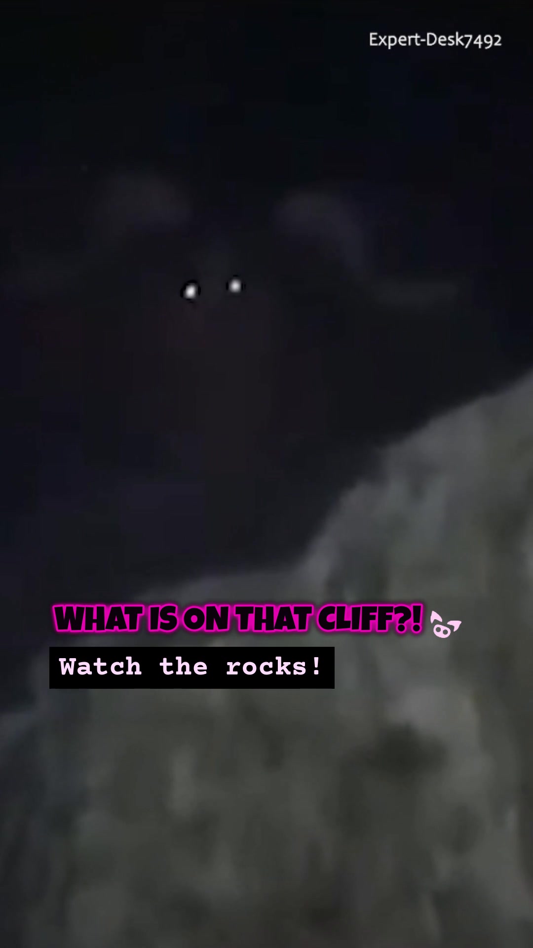 @Slapped Ham