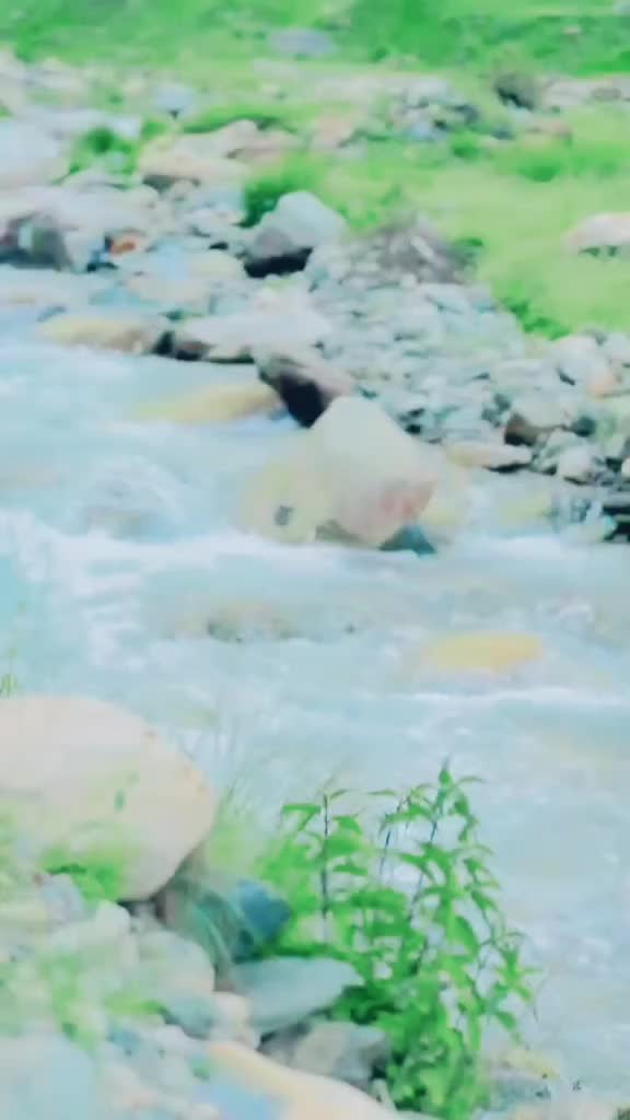 @Tabish_DON👑🥷