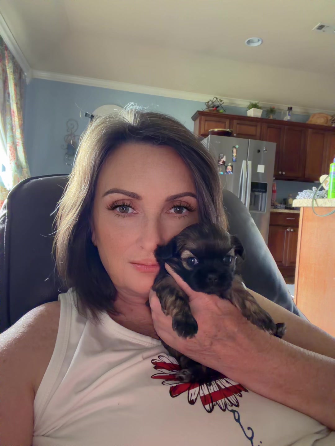 @Twilight Shih Tzu