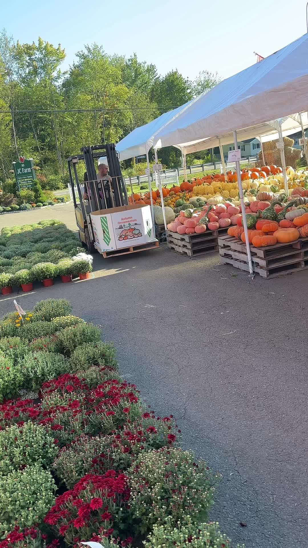 @JC Farm - Durham, CT