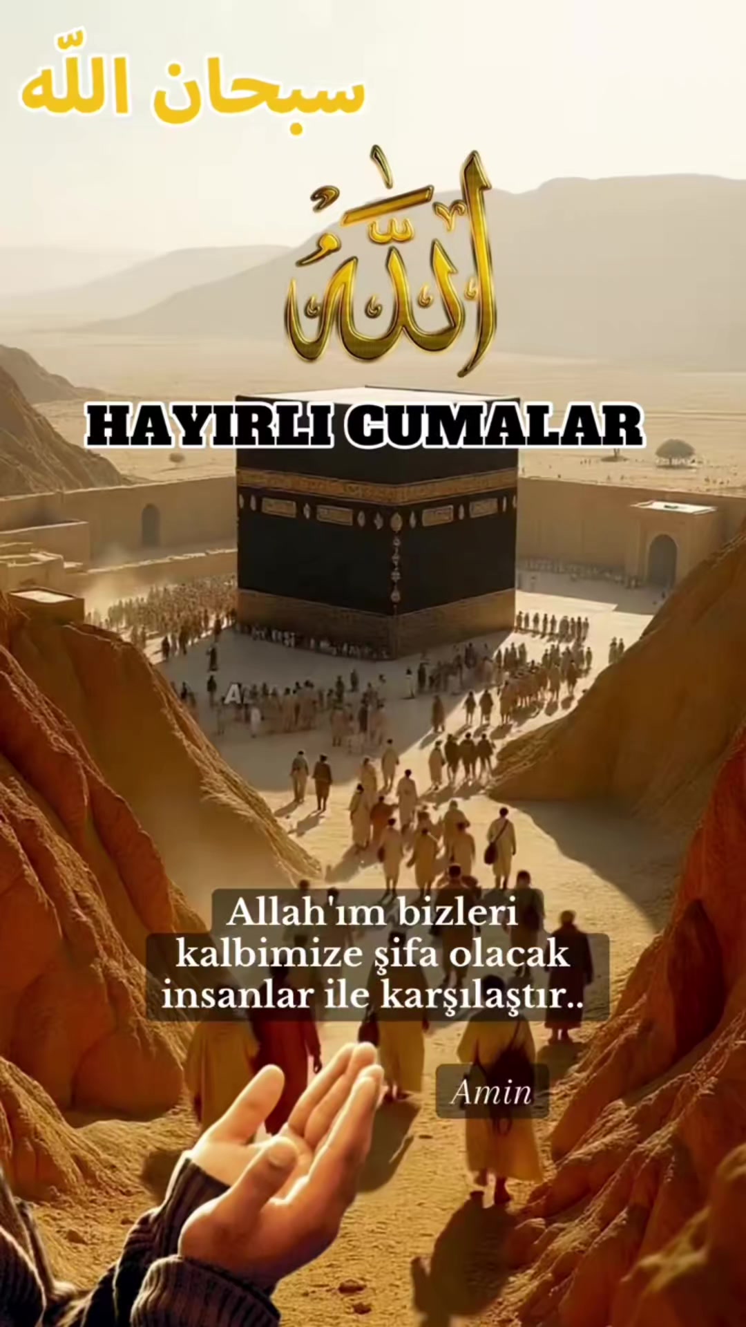 @DELIKANLI   RİZE'Lİ.C&Uuml;NEYT 53