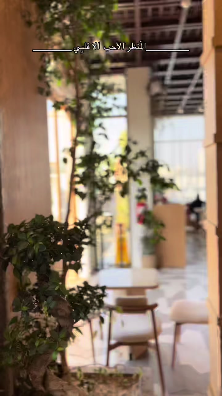 @لورين 🪞✨🐆