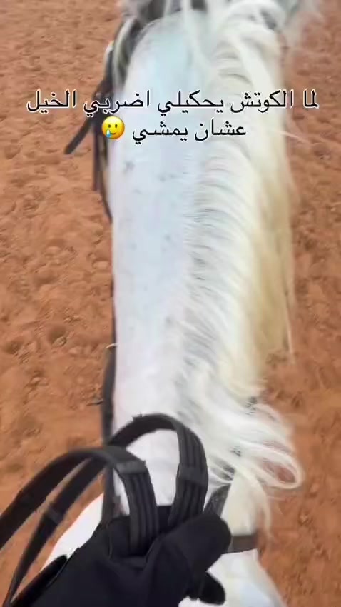 @🤍𝓝𝓸𝓻𝓪🤍