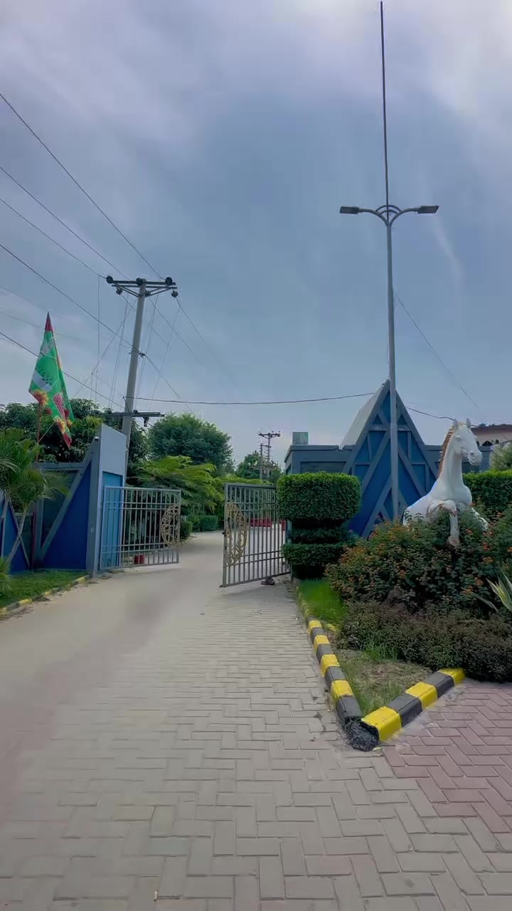 @ghost of daska🌚