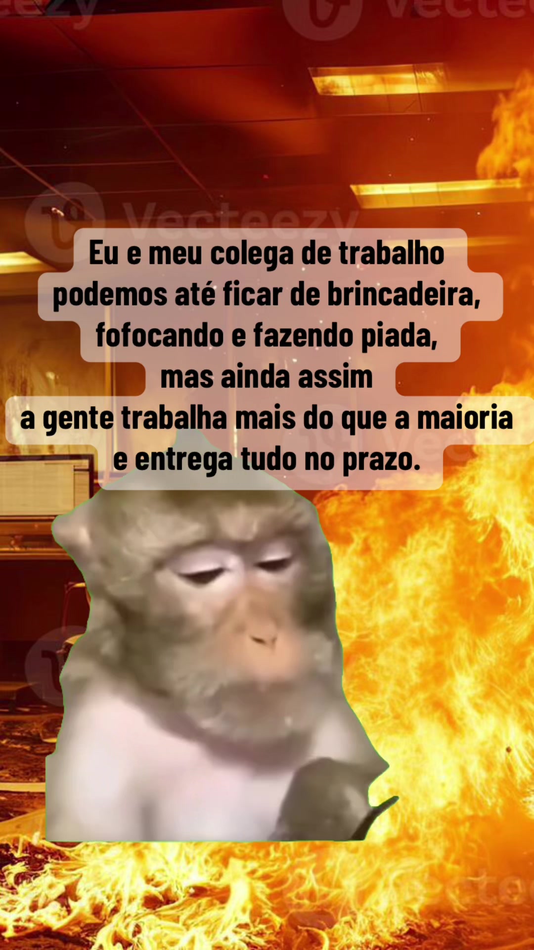 @Garimpei pra você