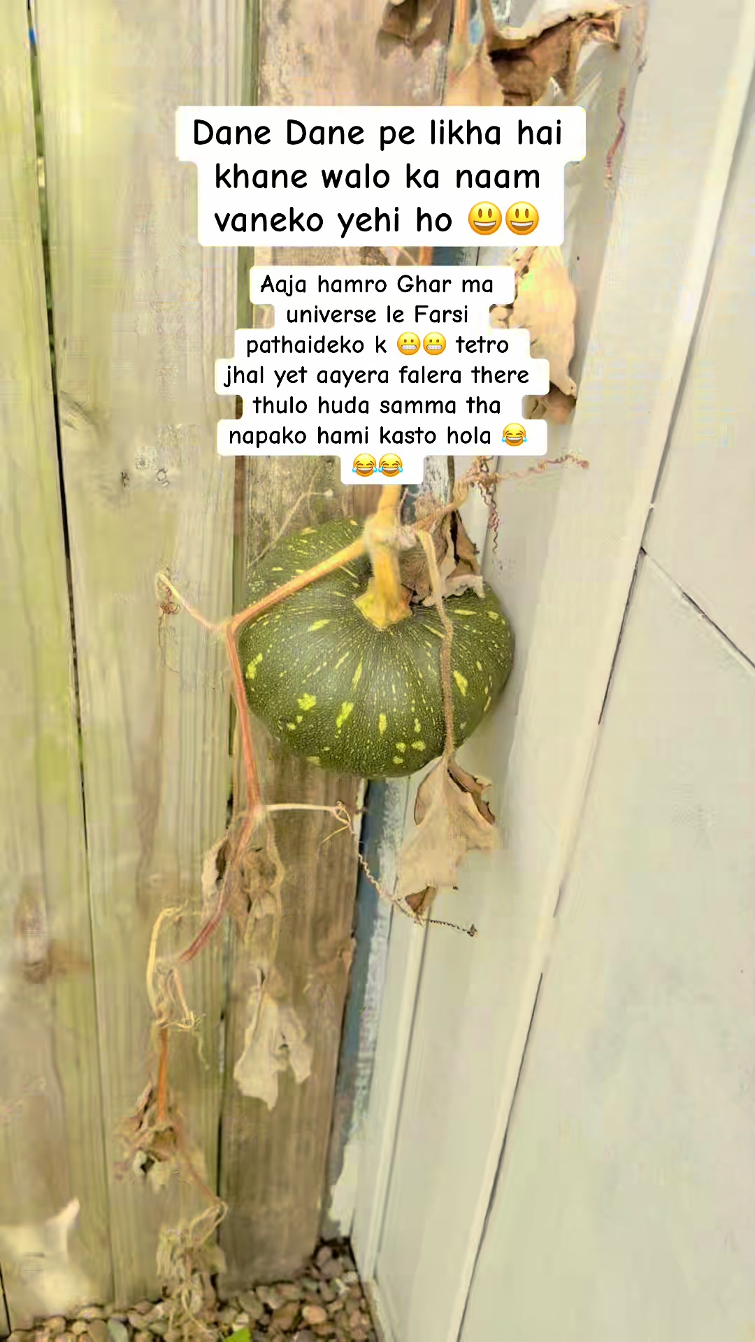 @Positive vibes 🦋✨🧿🕊️🪬🌸
