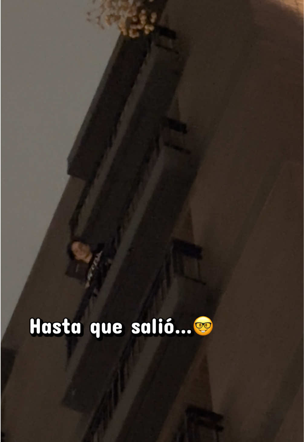 @catalina arevalo