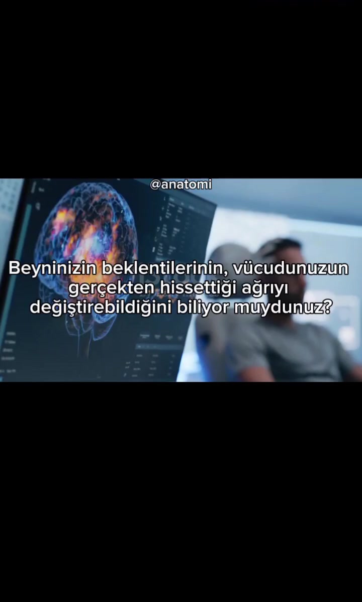 @Anatomi