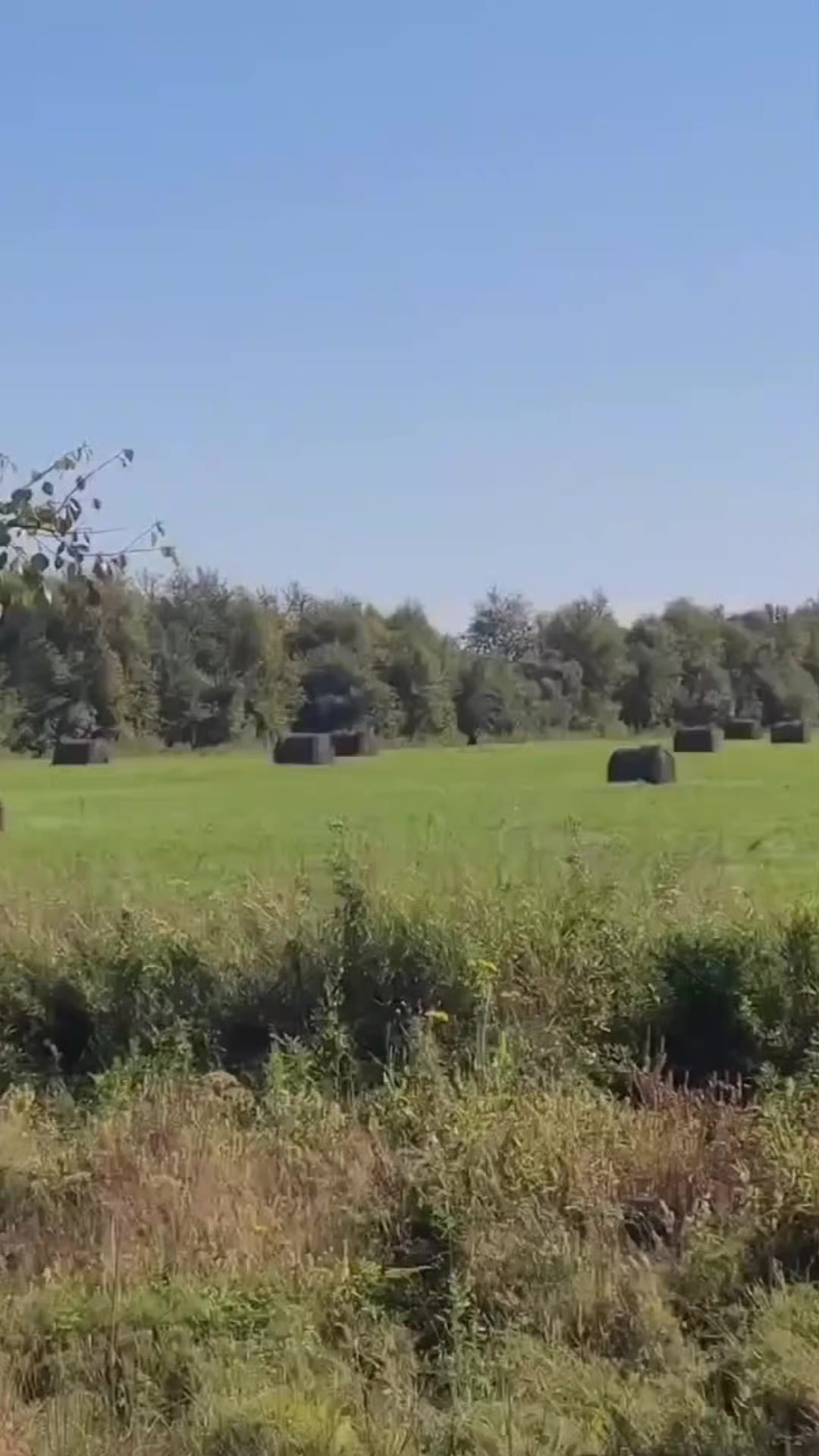 @Ольга03rus