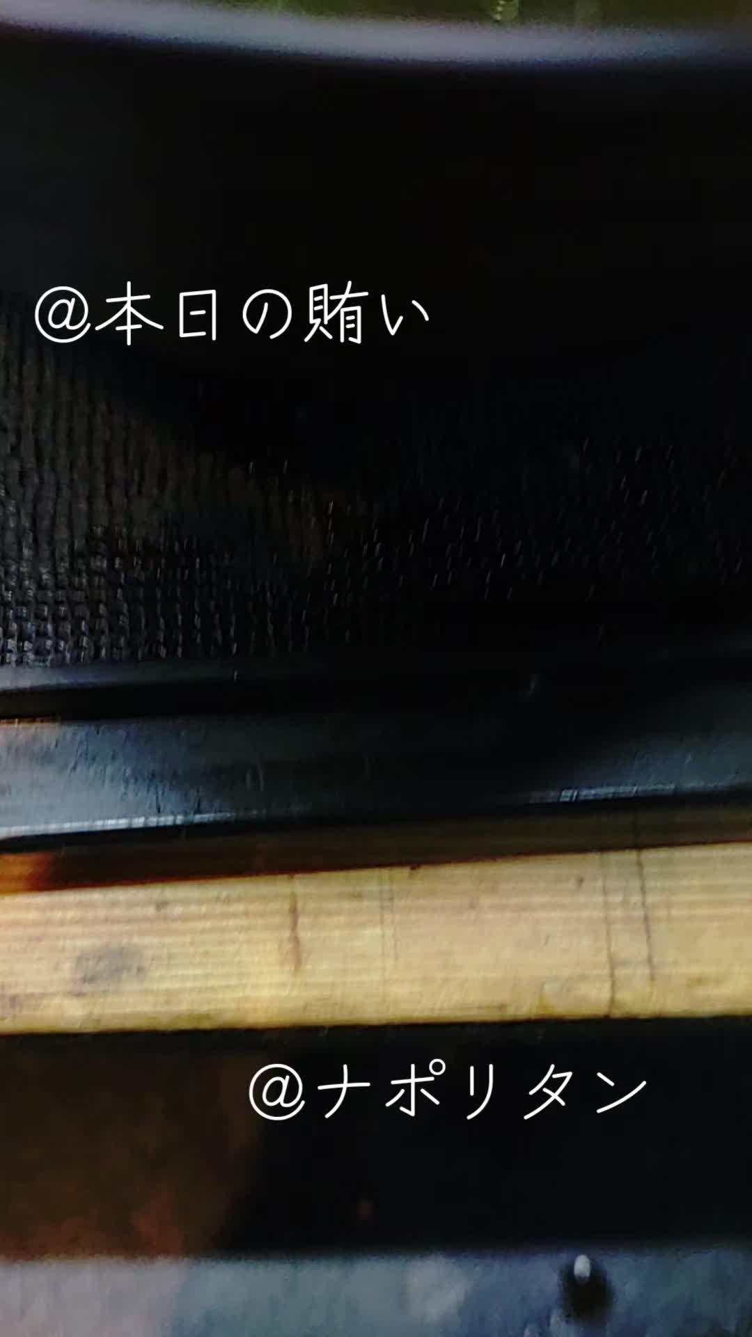 @スミヤマトリゾウ