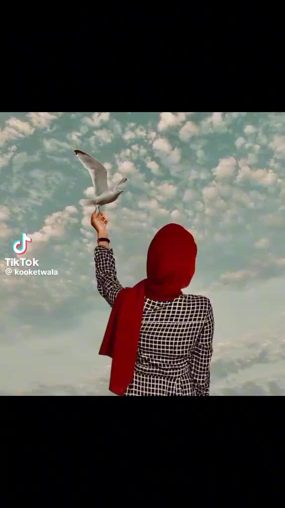 @ሶፍያ.ሰይዴ