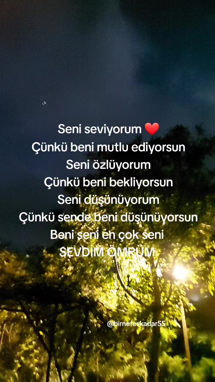 @birnefeskadar55