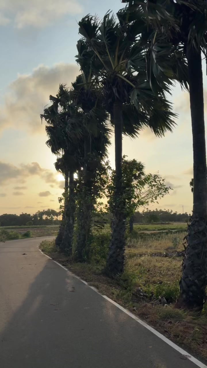 @binara thabrew