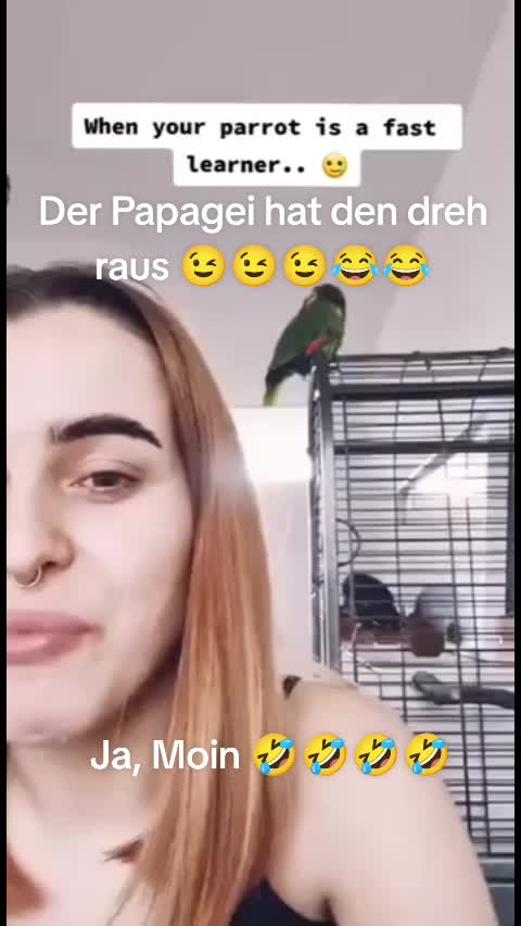 @FotzDeluxe