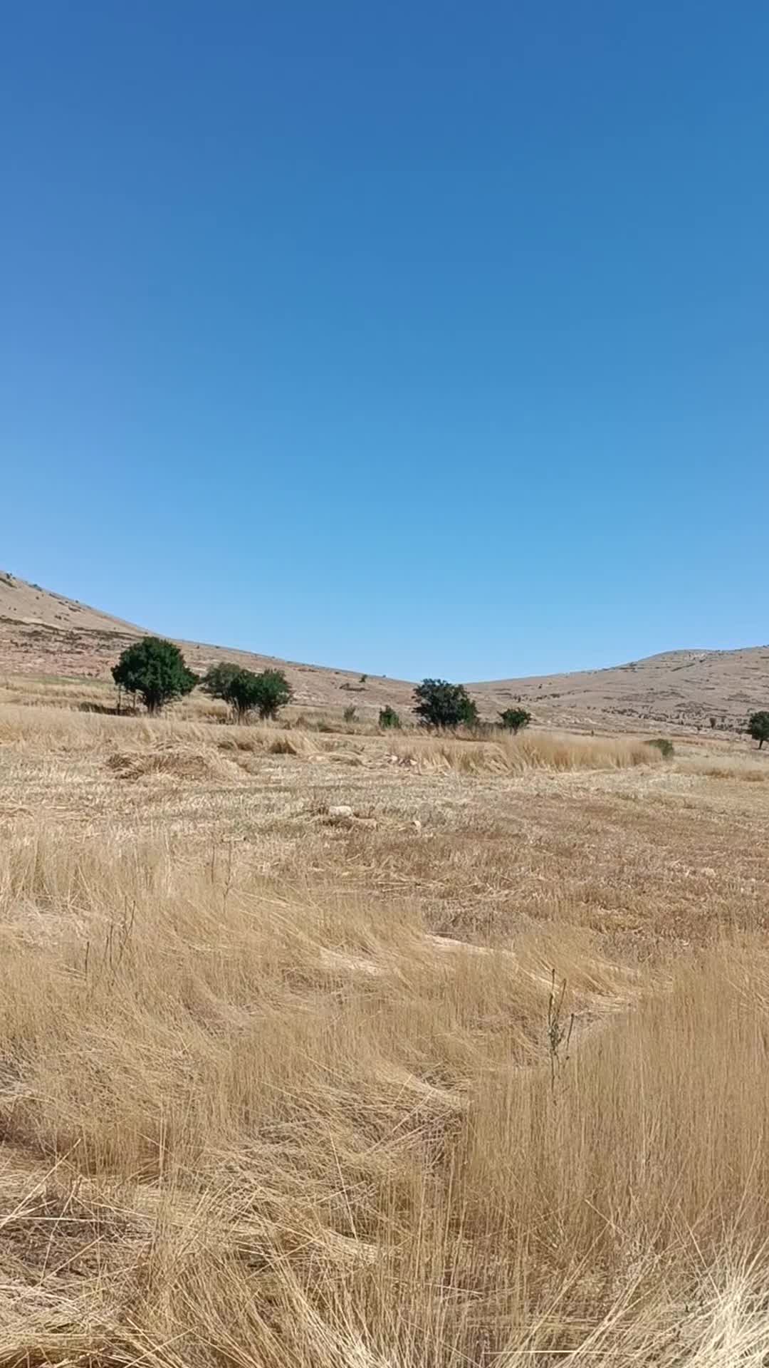 @Nazif Geriş