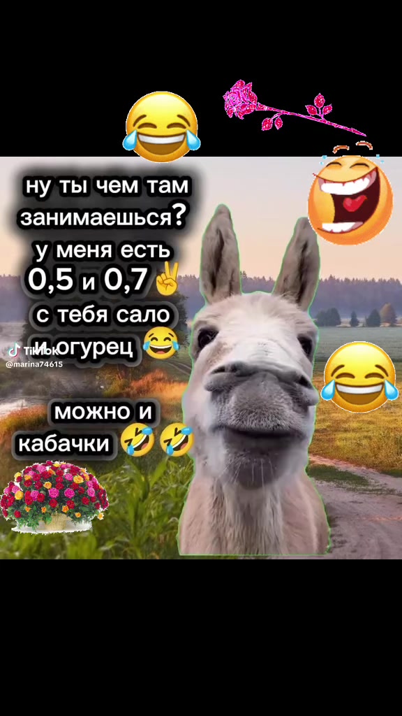 @๐ท๐ ๐ท๐๐ะะะ ะฏ๐๐๐ท๐๐ท
