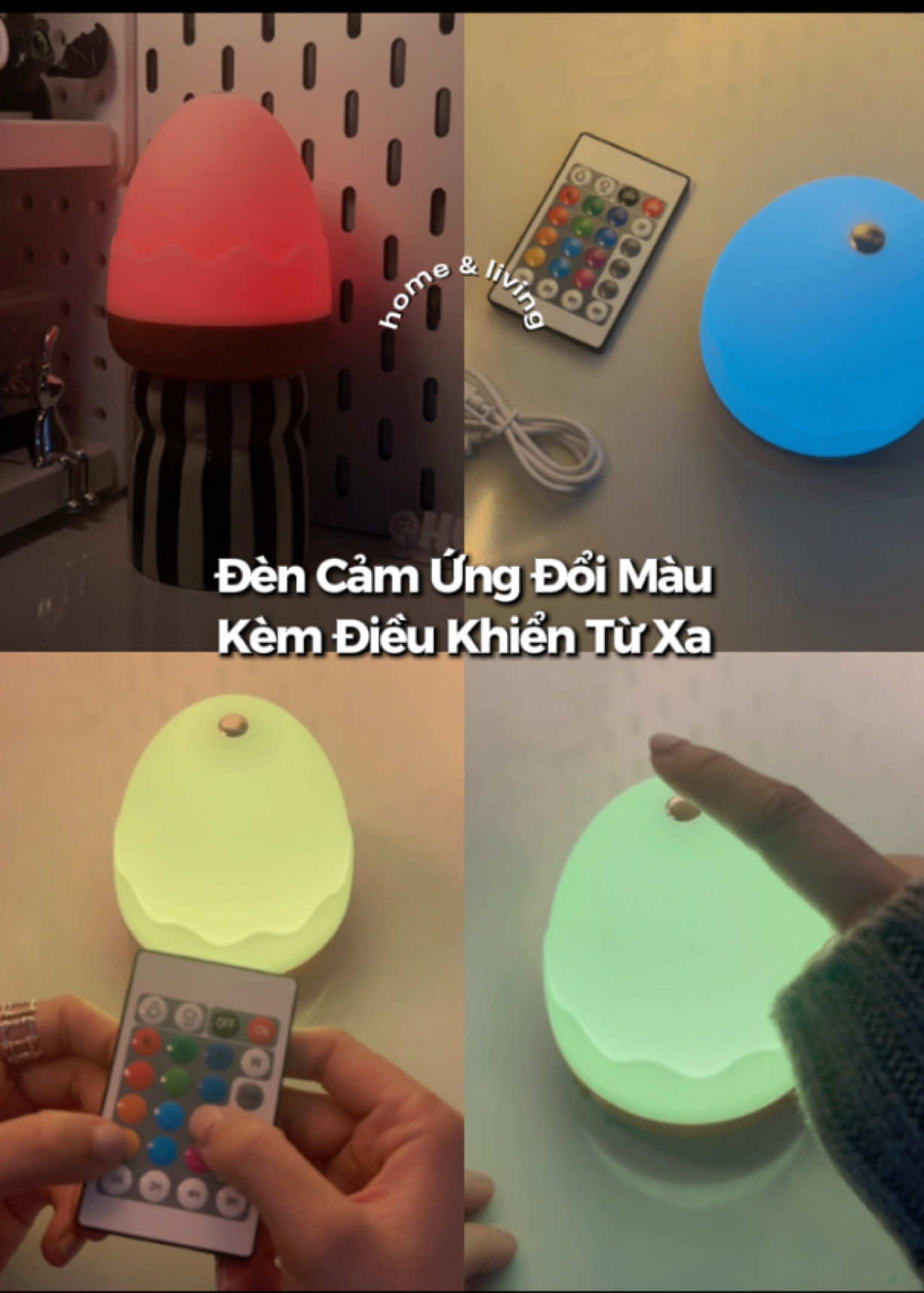 @٠࣪⭑ Hui Yin Chuột Bạch ⦮ ⦯