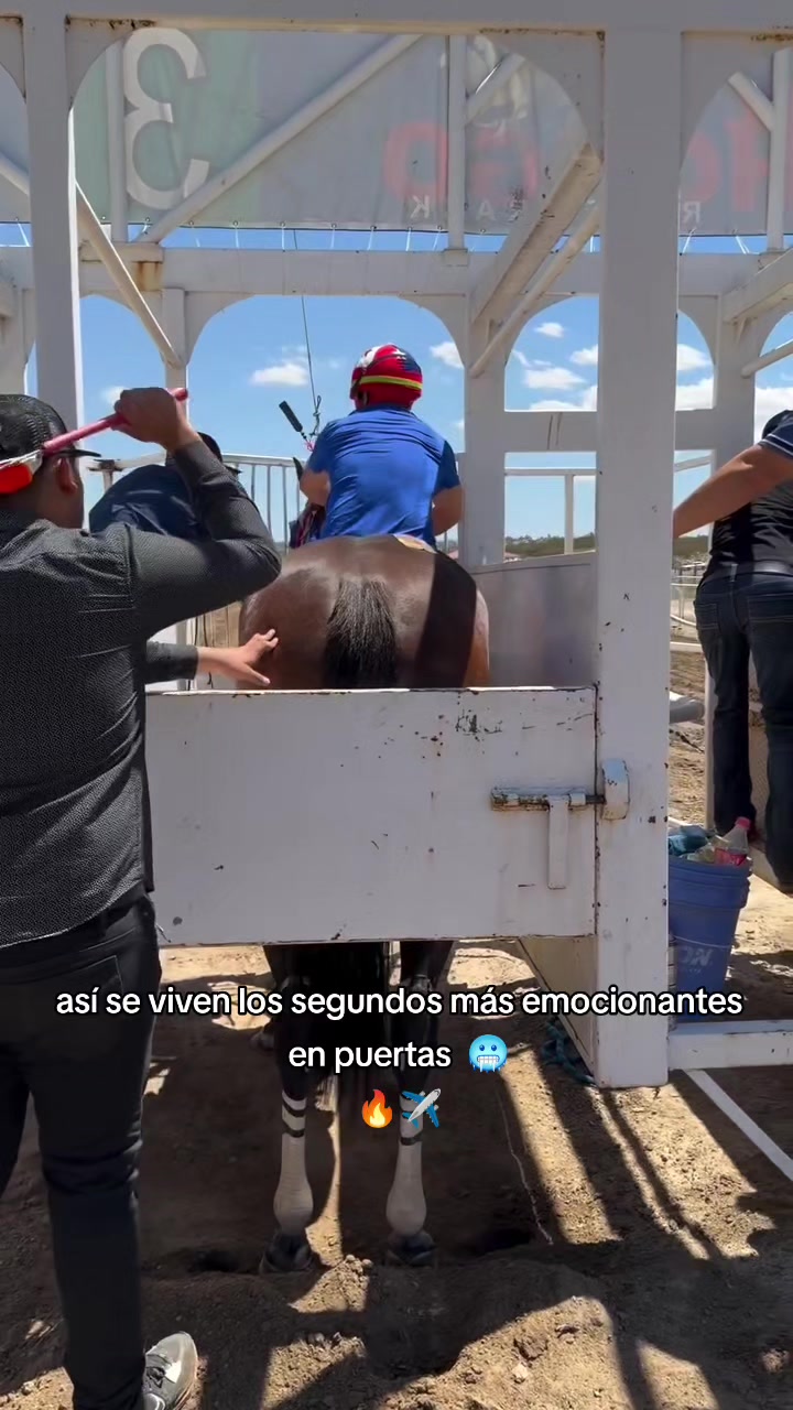 @carriles altos de jalisco🐎