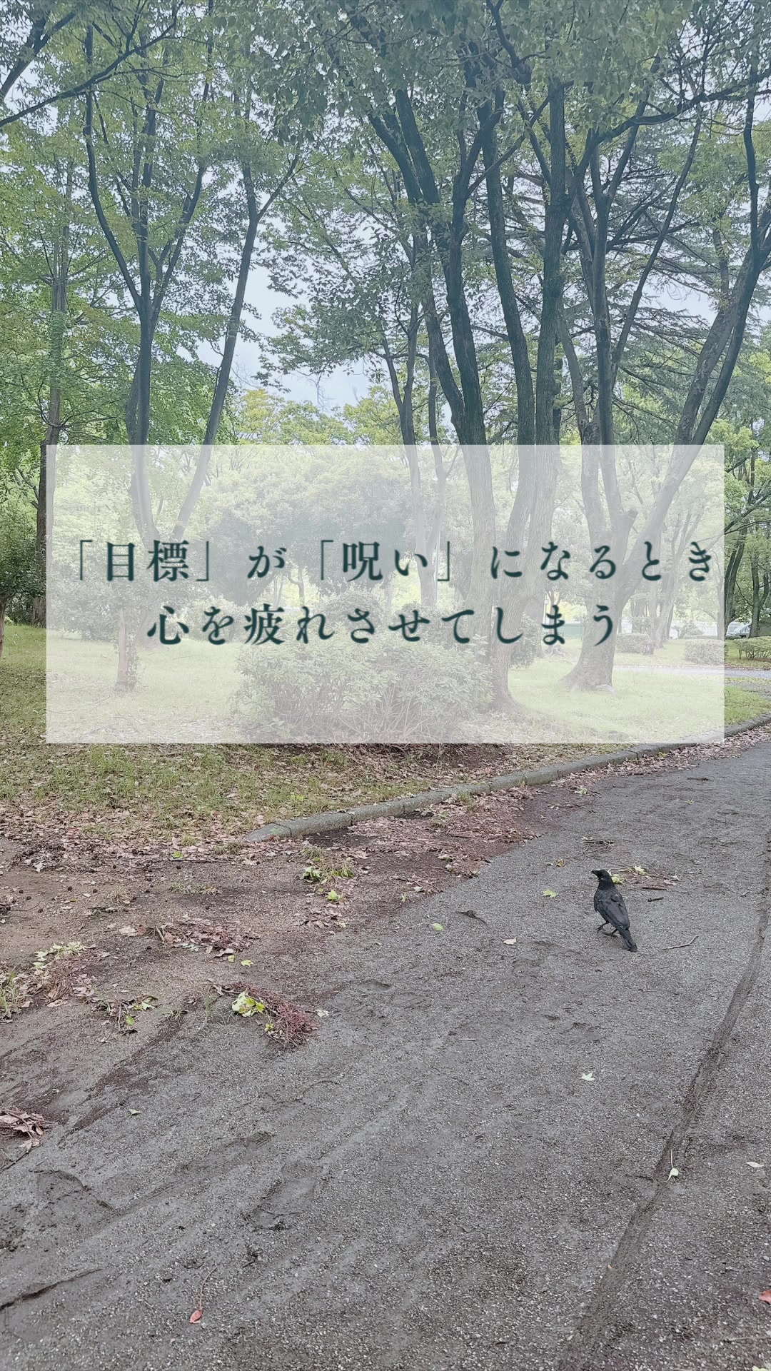 @どちんのつぶやき