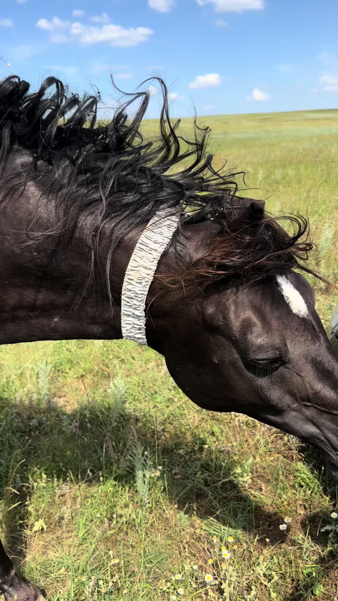 @MakvinStud