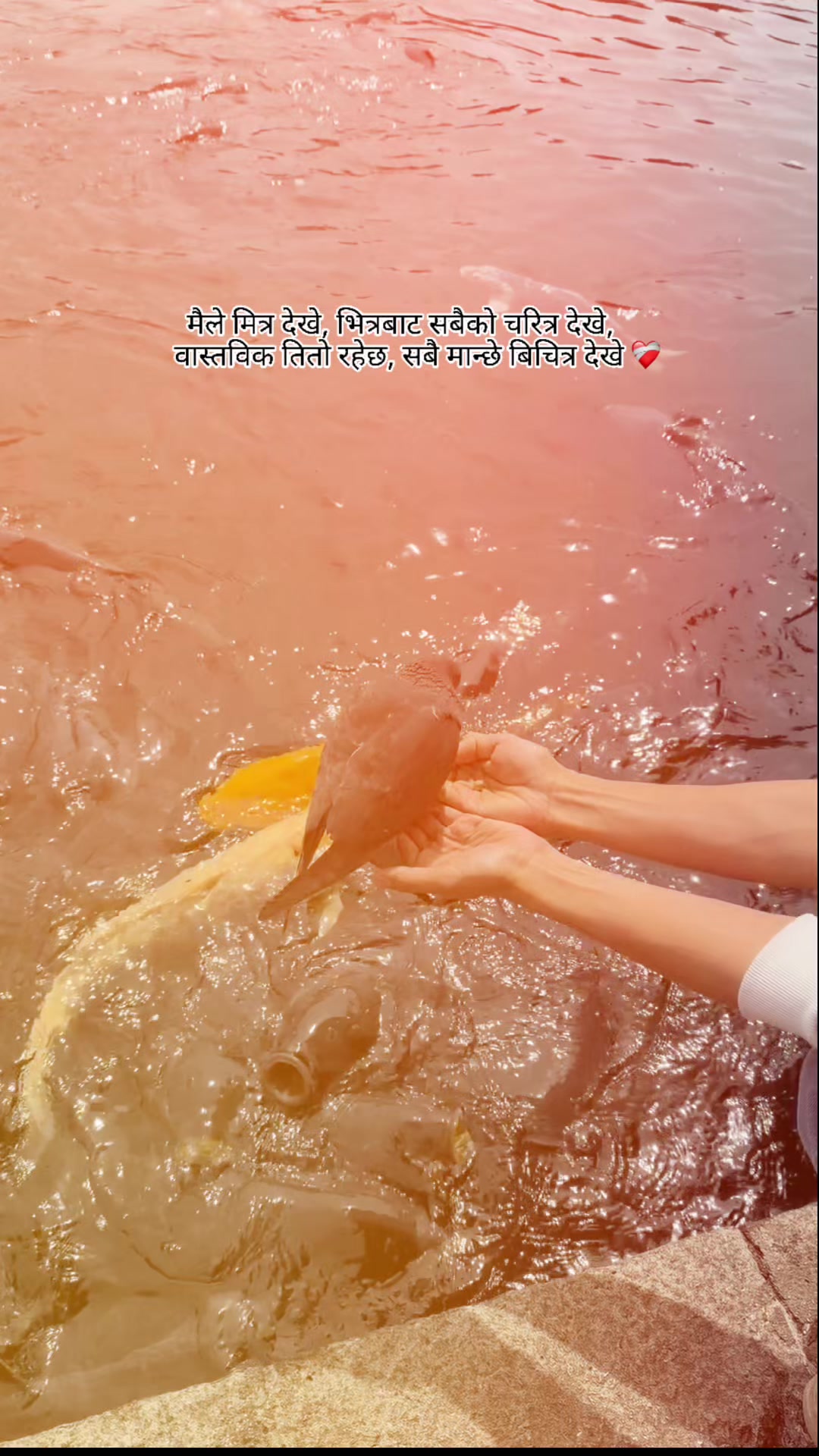 @Su_su🫨🫠