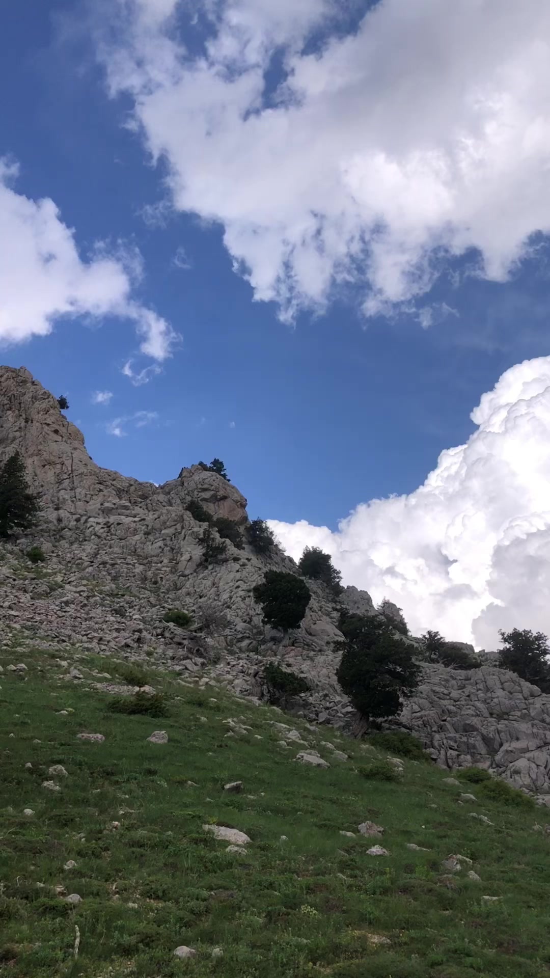 @ALİ AKKAŞ