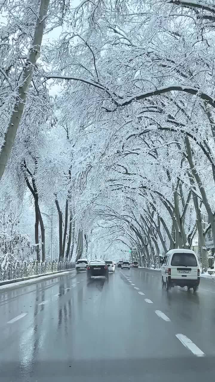 @gozal_93