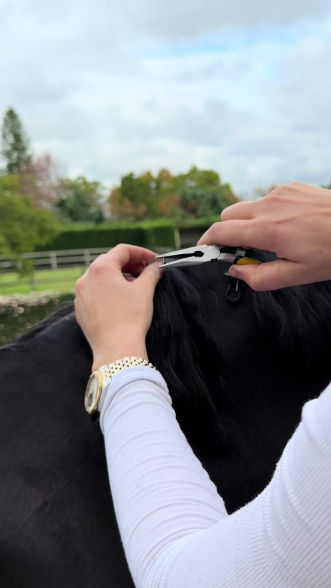 @Luxe Lengths Equine Extensions