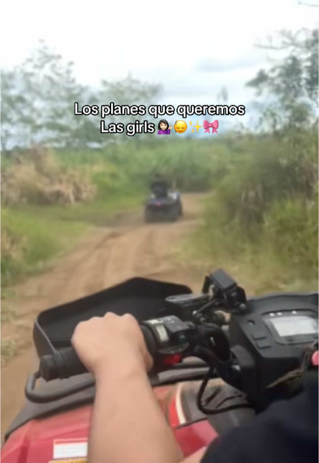 @Liisavnp