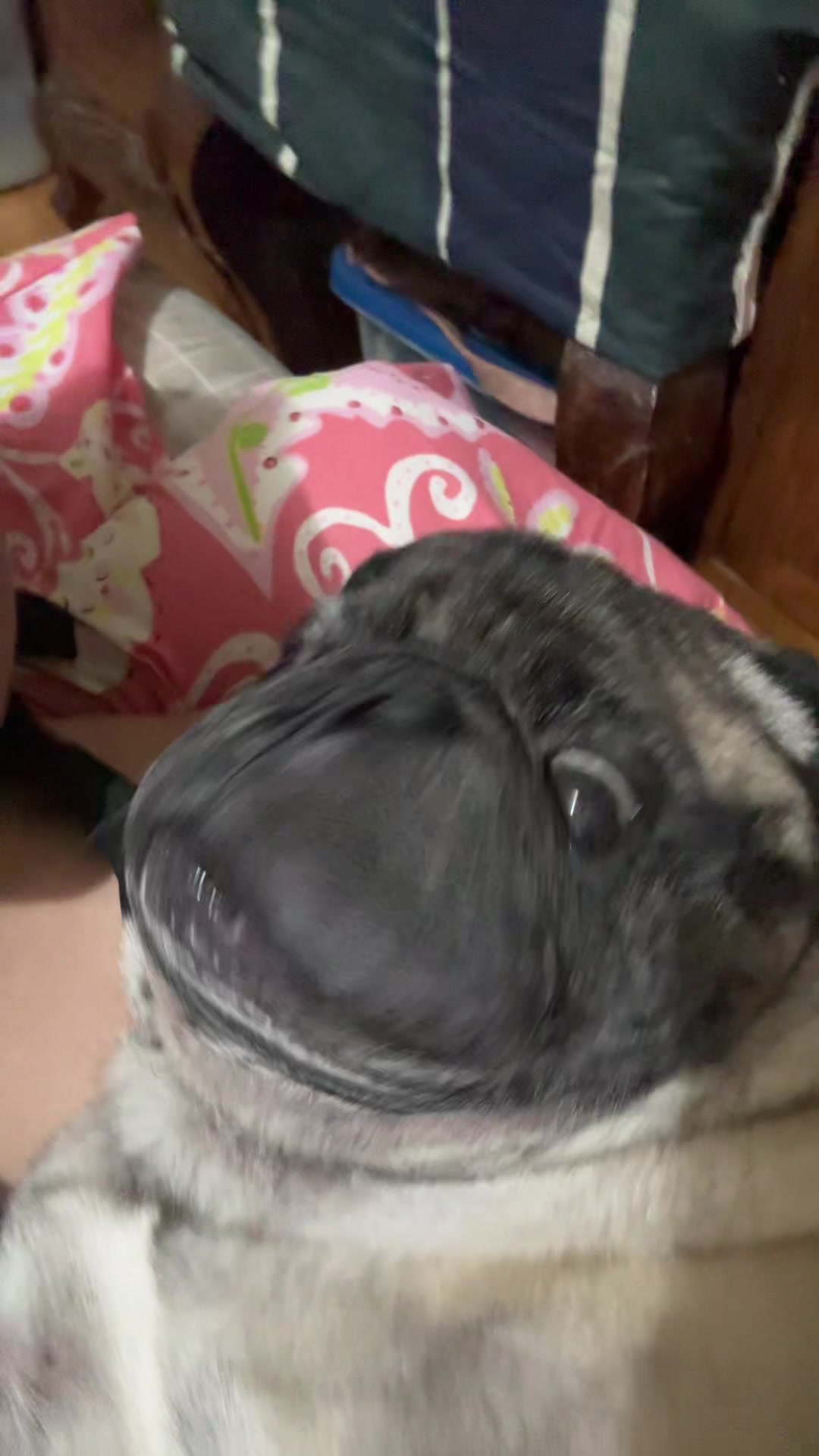 @вєℓℓ&alpha;