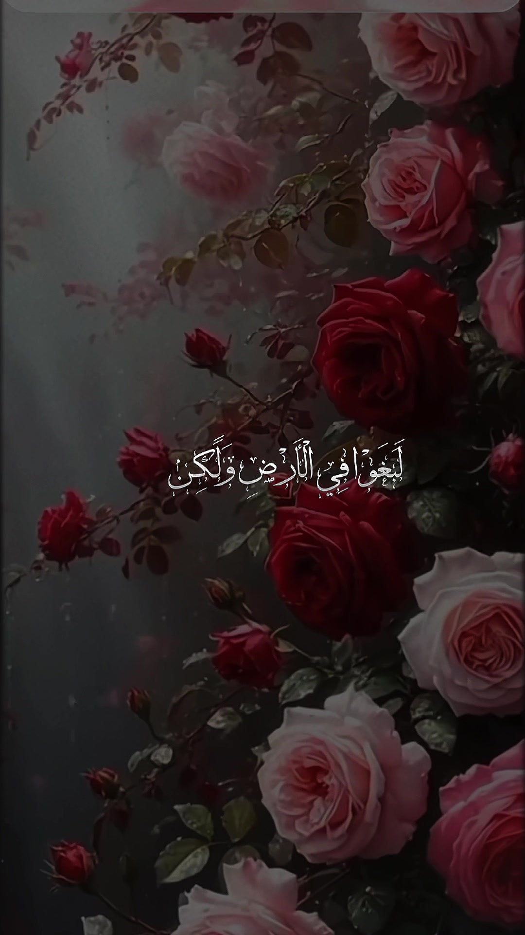 @Om MARAM