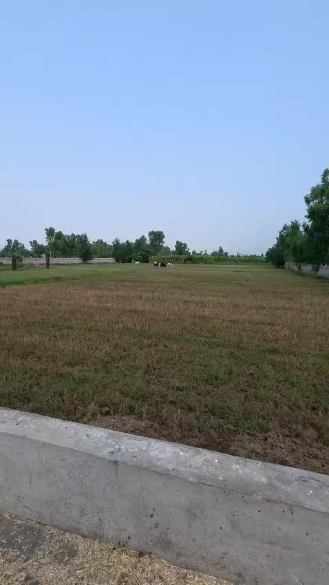 @Farasat Ali Ranjha Awan