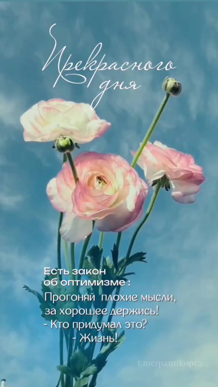 @🇧🇾 Елена 💞💞💞