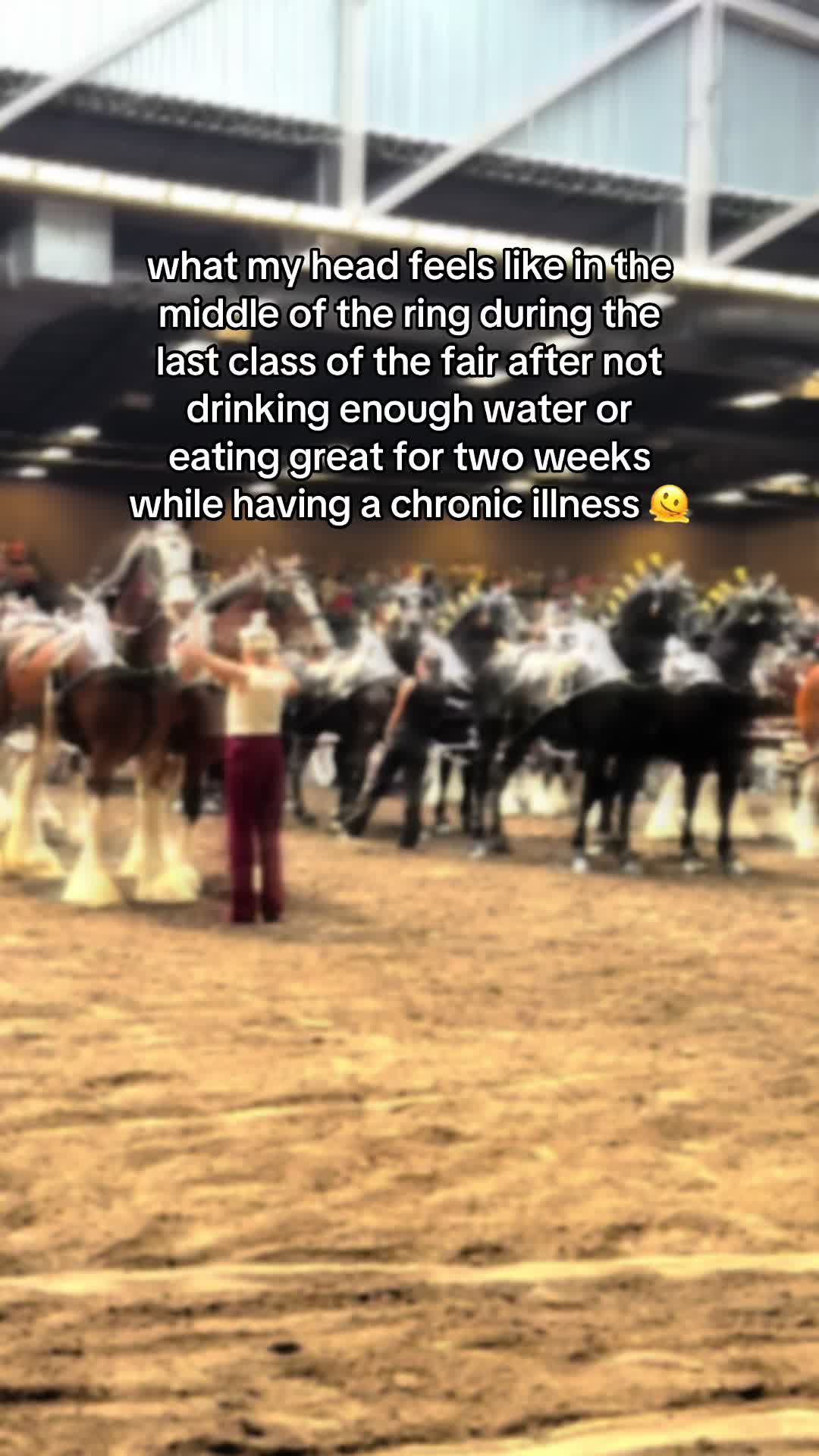 @Tisha 📸🦄 Equestrian Photog