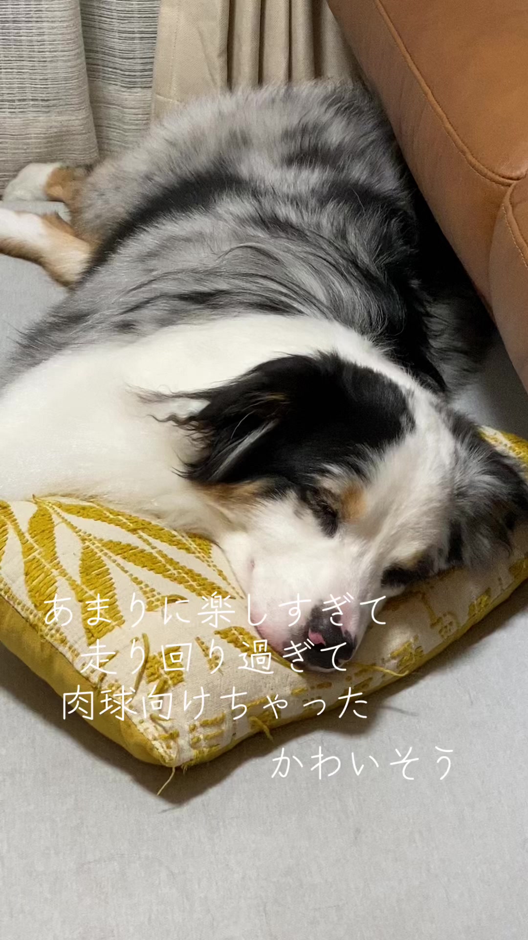 @サン&タマ