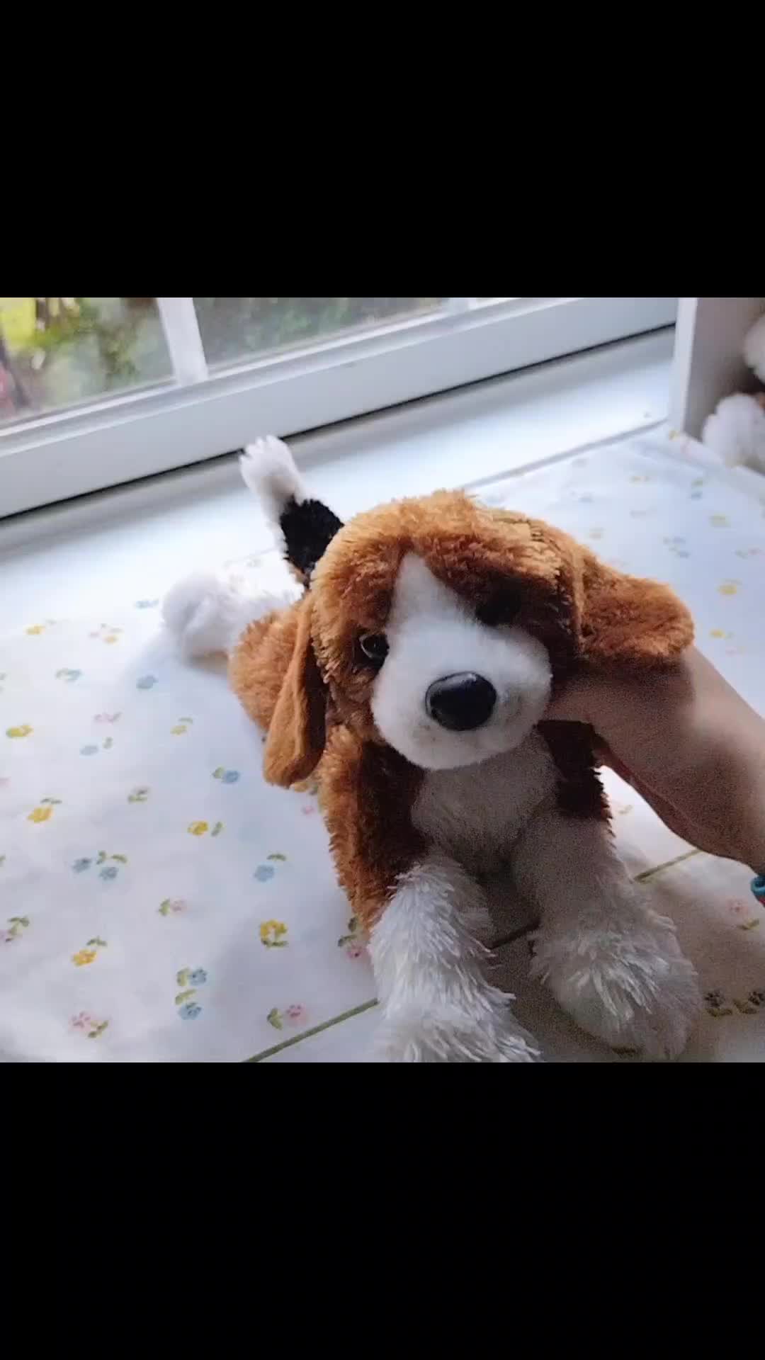 @๐พ·๐๐ฆบโ
·๐ด๐ข๐๐ข๐ ๐ก·โ
๐ท·๐ฆด