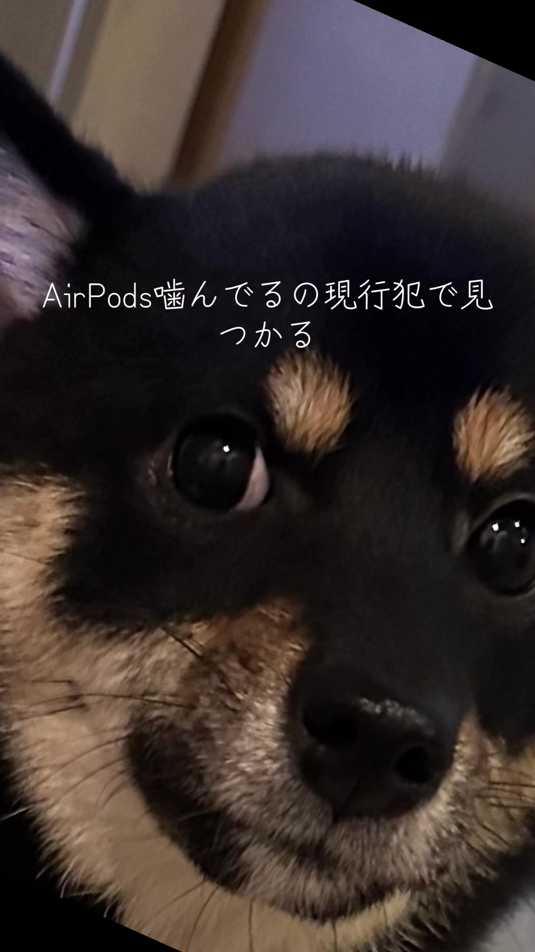 @ハナにバレるまで