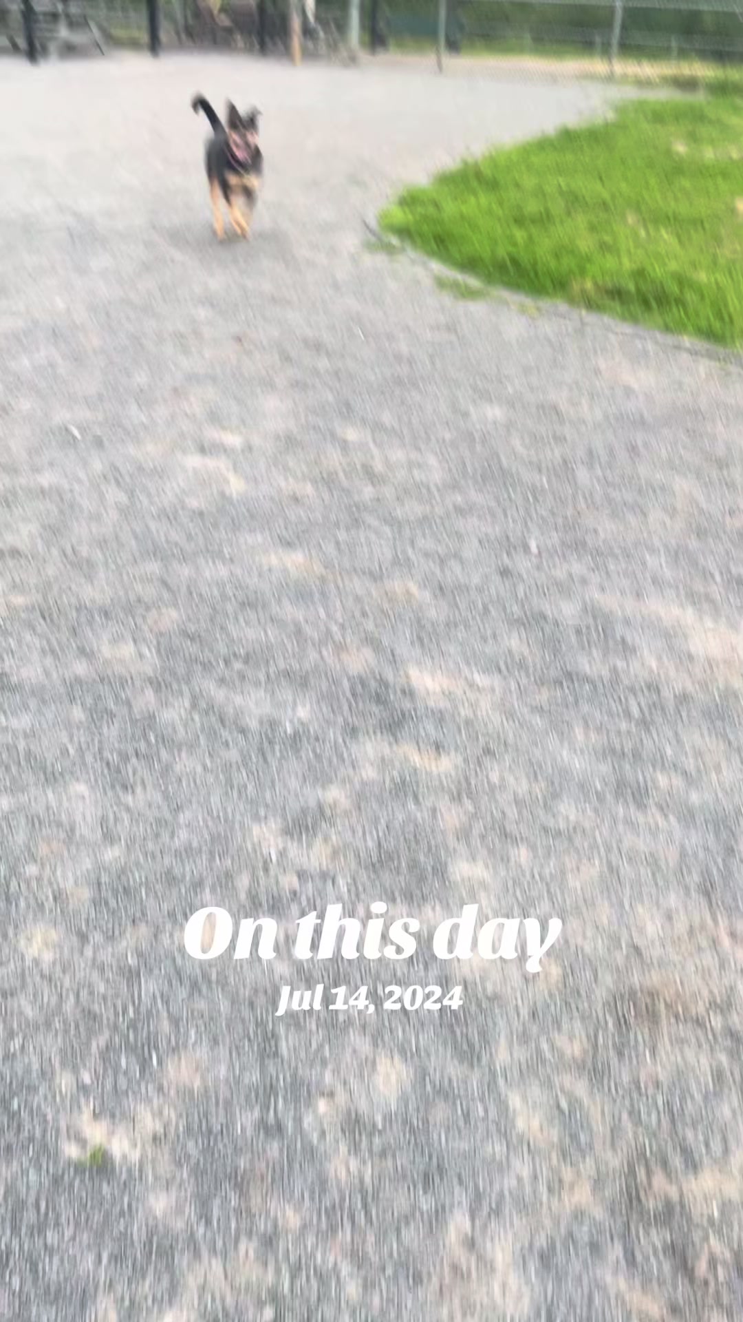 @George Allen 🇨🇦