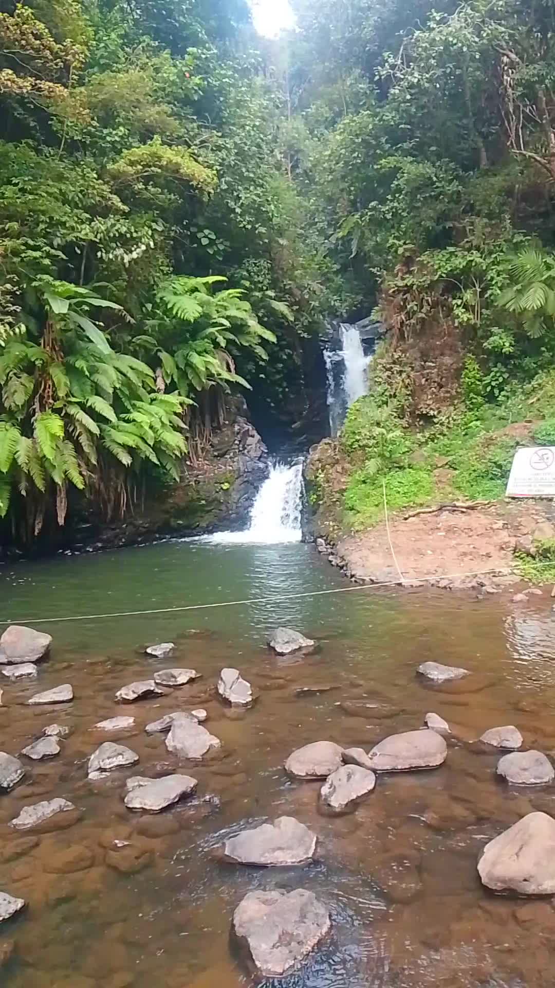 @jajang dega