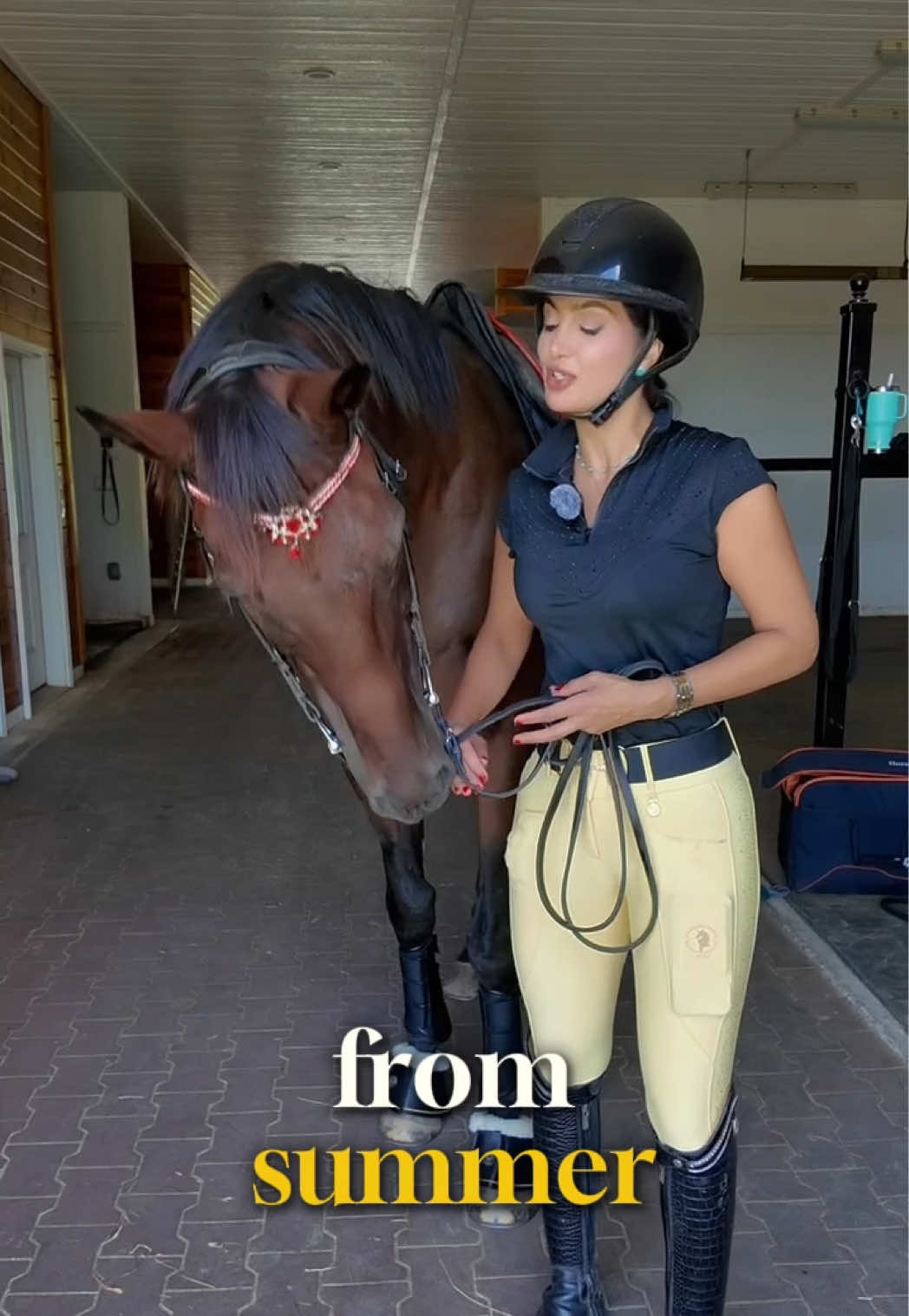 @Sync Equestrian