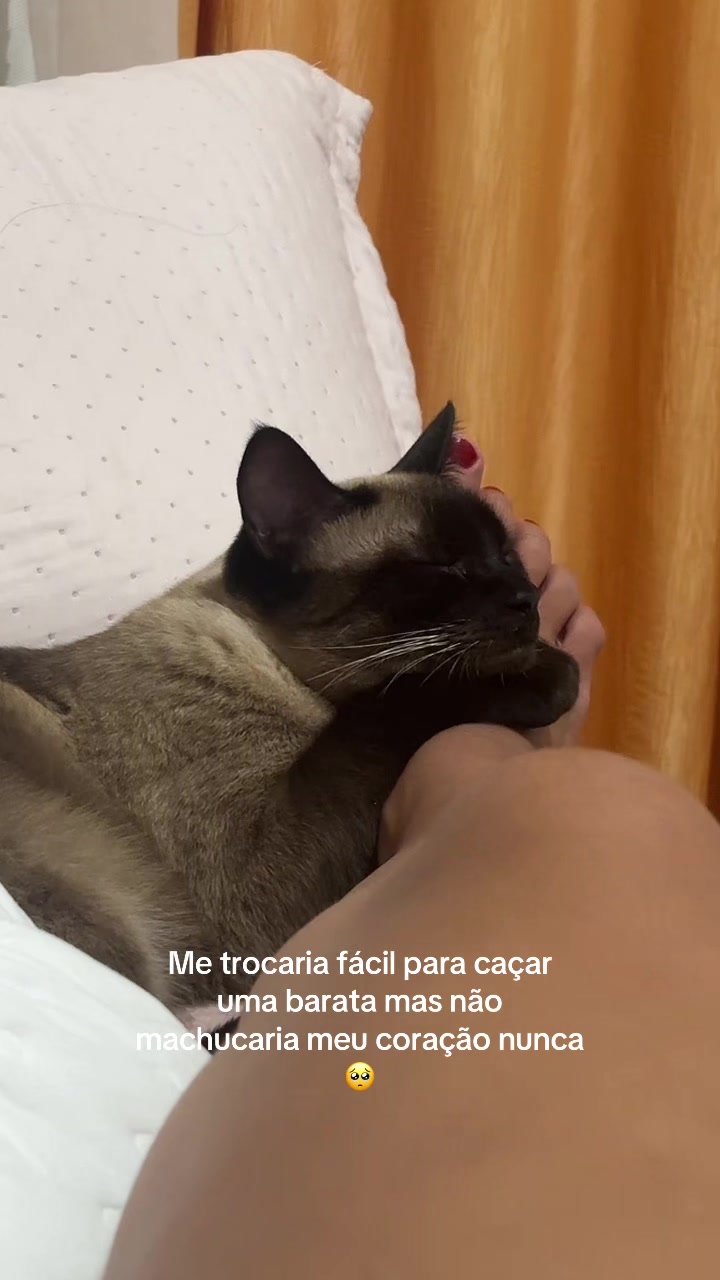 @Leticiastancowich