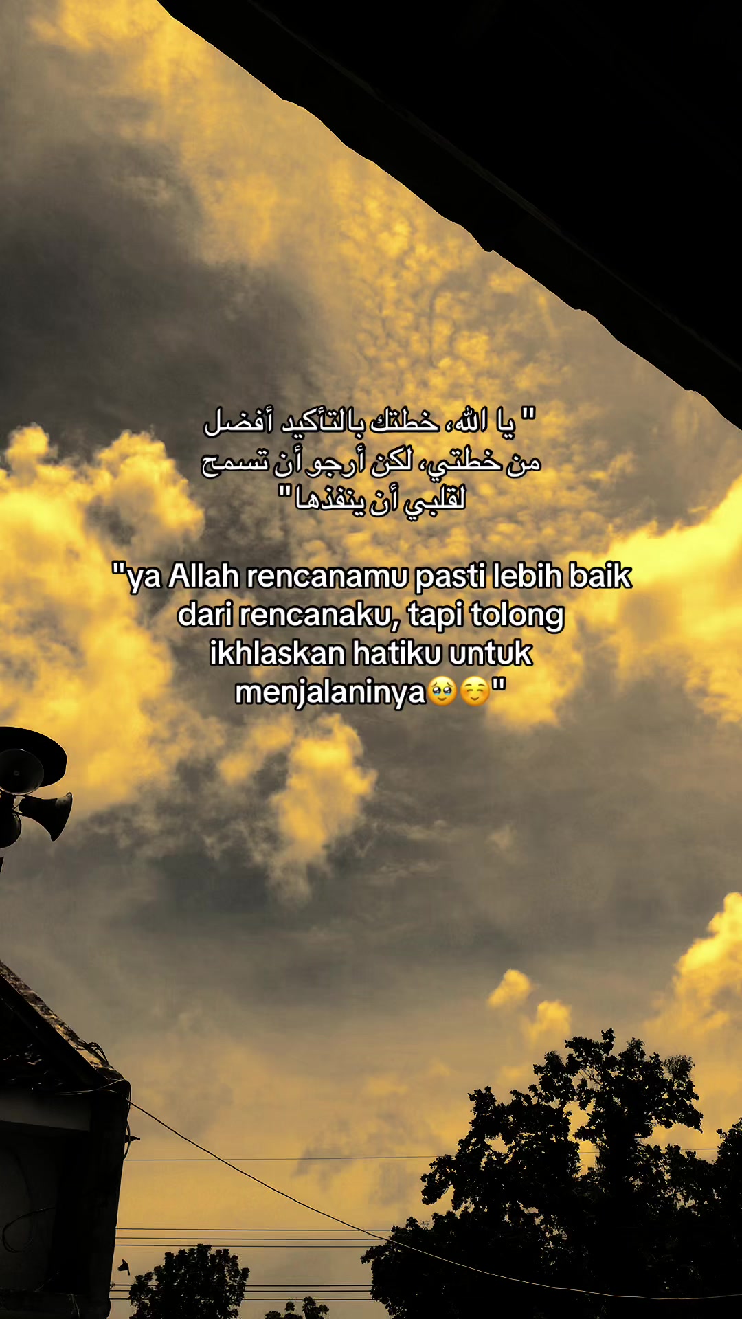 @muhammad