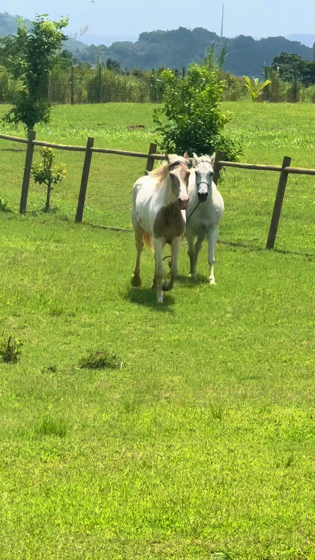 @Hacienda Do&ntilde;a Ana