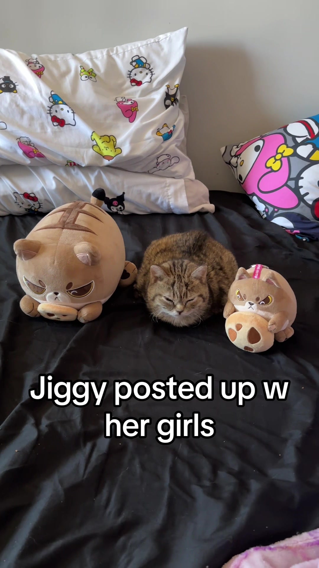 @𝓜𝓮𝓵𝓸𝓭𝔂 & 𝓙𝓲𝓰𝓰𝔂
