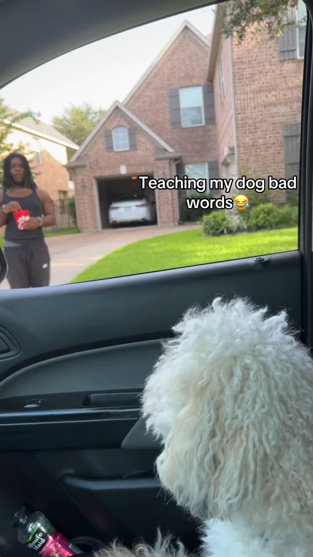 @Funny dogdia80