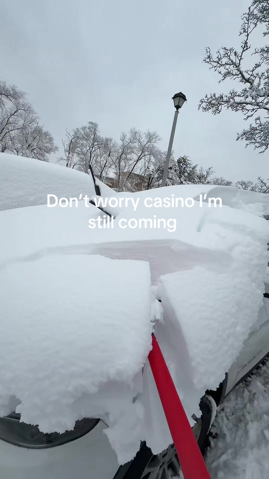 @Gi