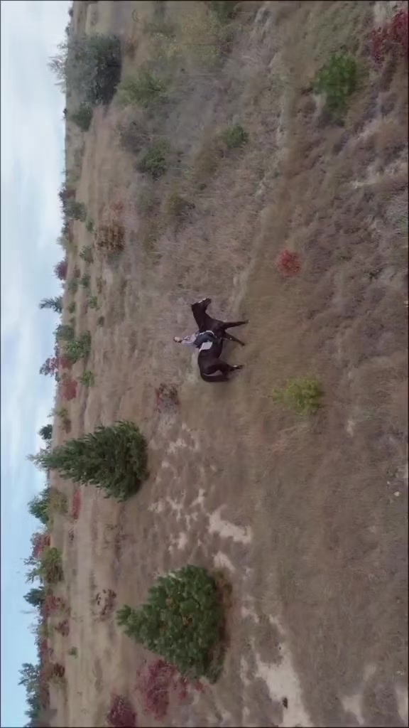 @Юля и звери
